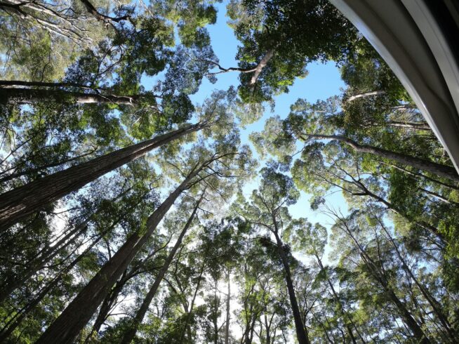 clinical psychology and consultancy in Perth, Joondalup, Rockingham, Bunbury, and wider Western Australia through telehealth options (4)