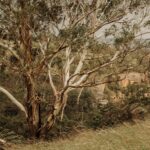 Trauma-Informed Support: Understanding the Person Behind the Experience