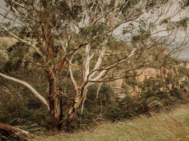 clinical psychology and consultancy in Perth, Joondalup, Rockingham, Bunbury, and wider Western Australia through telehealth options (5)