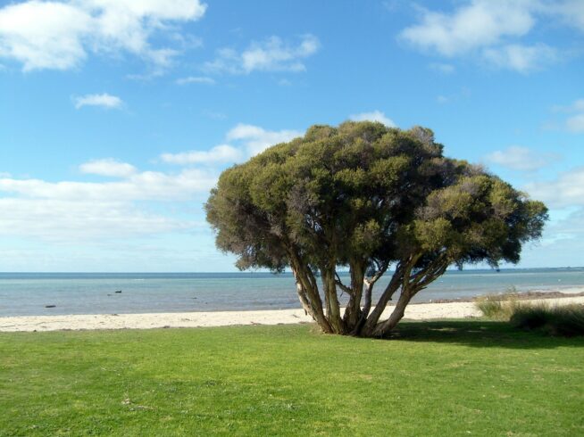 clinical psychology and consultancy in Perth, Joondalup, Rockingham, Bunbury, and wider Western Australia through telehealth options (9)