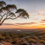 Preparing for an NDIS Assessment: What Participants and Families Should Know